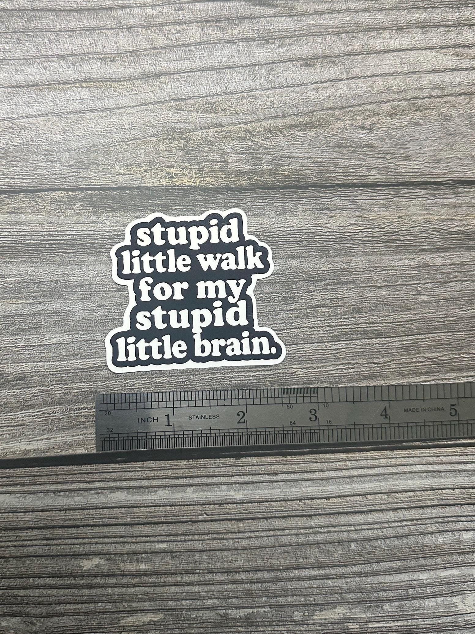 Funny Mental Health Waterproof Sticker "Stupid Little Walk for My Stupid Little Brain" Vinyl Decal