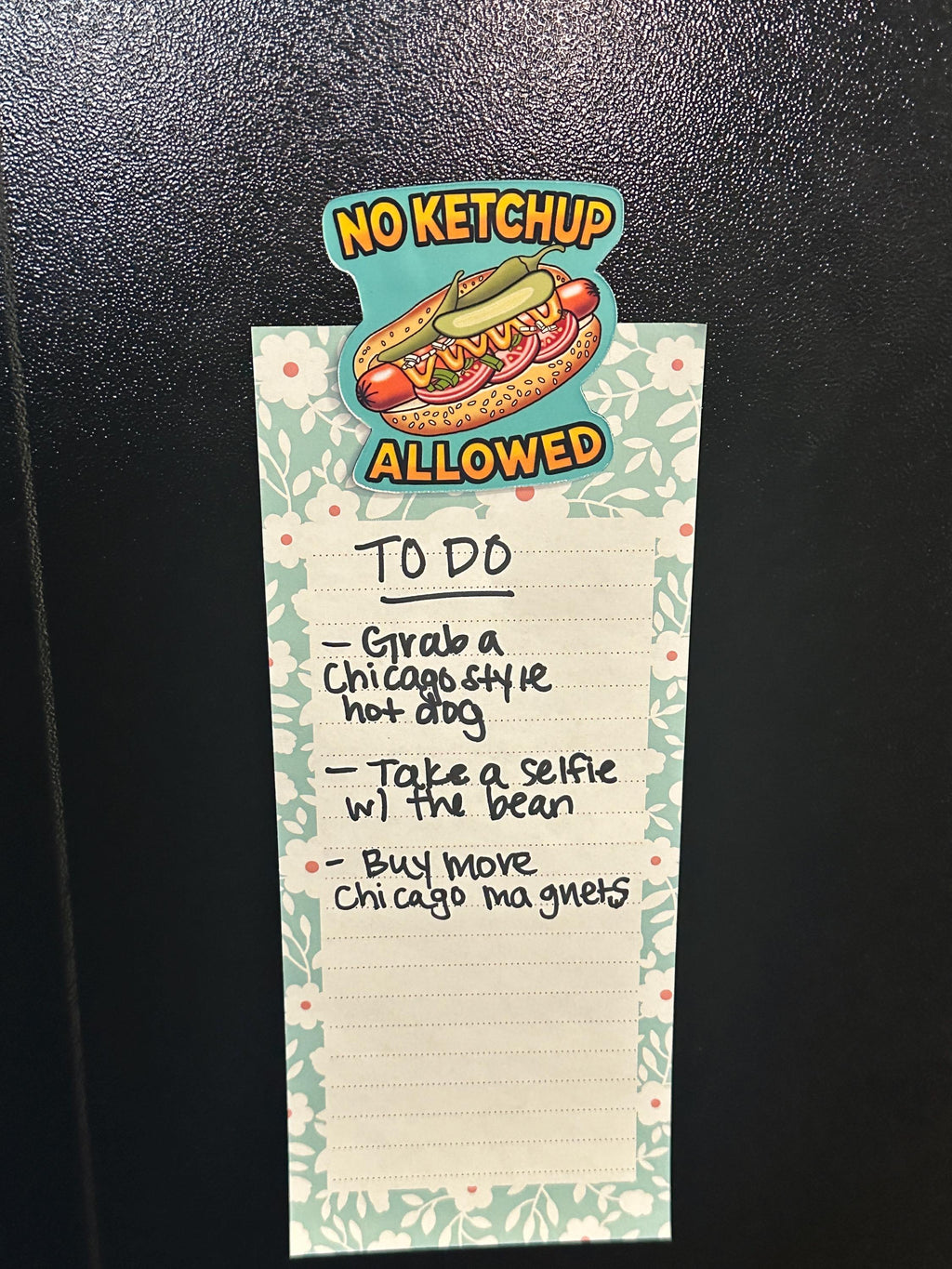 No Ketchup Allowed Chicago Hot Dog Waterproof Sticker - Funny Foodie Humor Vinyl Decal