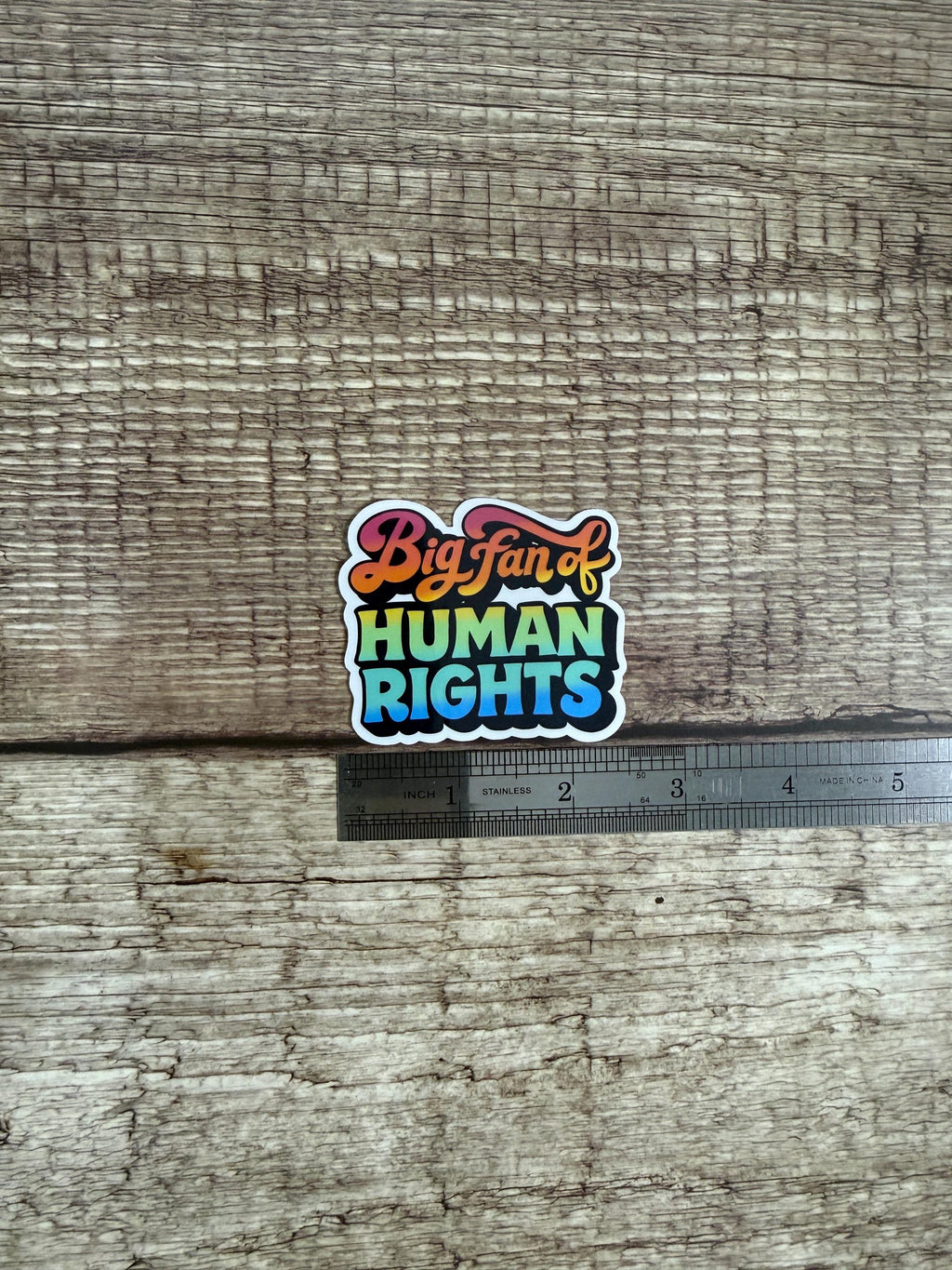 Political Waterproof Sticker "Big Fan of Human Rights" Vinyl Decal Gift