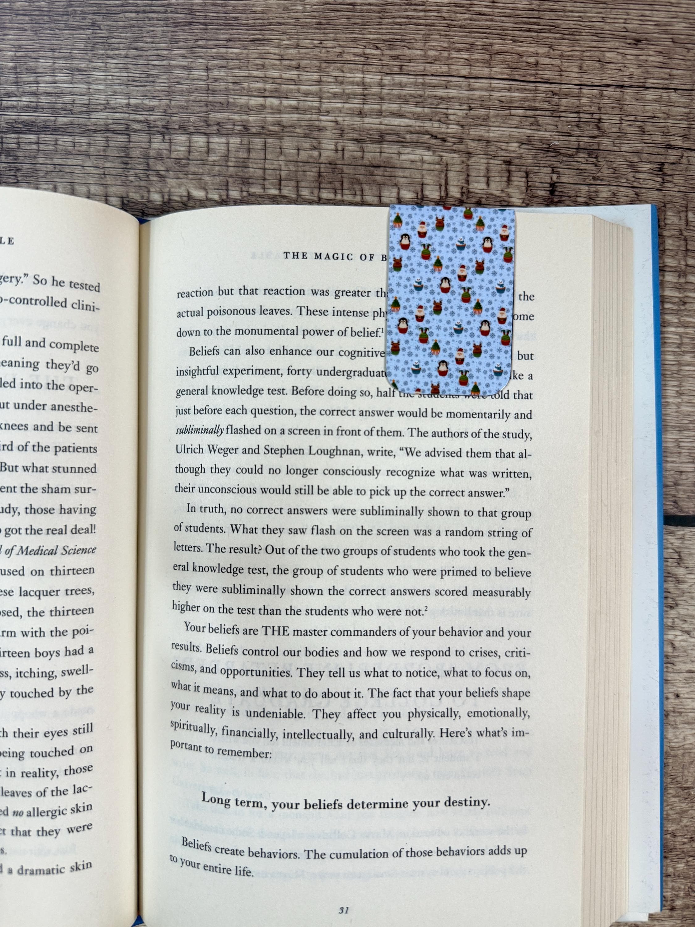 Winter Cupcake Magnetic Bookmark | Holiday Pattern Page Turner for Books & Planners • Snowflake Bookmark for Cozy Winter Reading