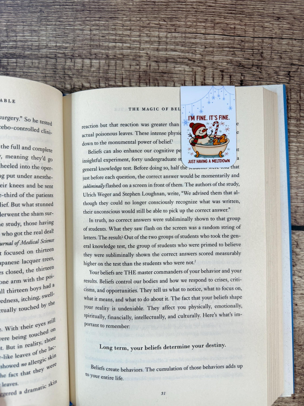 Funny Winter Magnetic Bookmark | Melting Snowman Page Turner | “I’m Fine It’s Fine Just Having a Meltdown" Page Marker for Books & Planners
